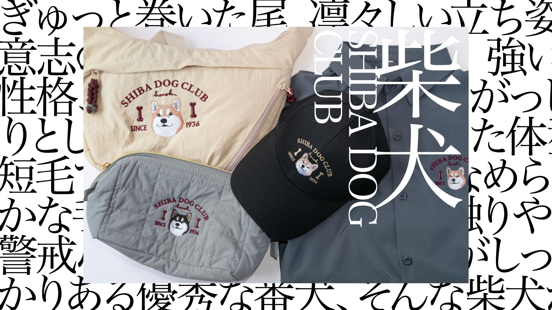 しばけん専用 柴犬に本気の新シリーズ、SHIBA DOG CLUB が始まりました。